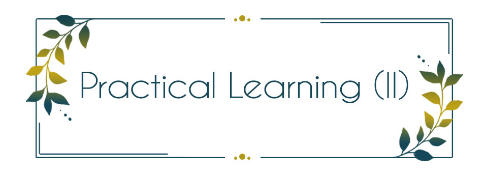 Pa - Practical Learning (II)