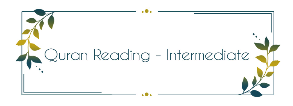 Quran Reading - Intermediate