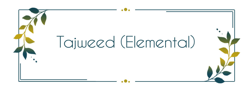 Tajweed - Elemental