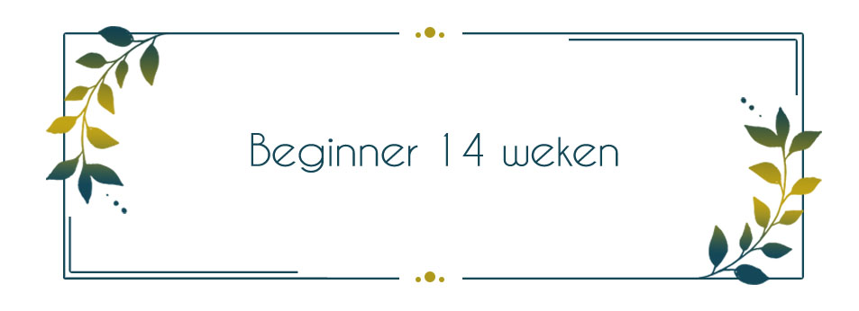 Beginner 14 weken